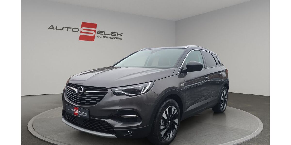 Opel Grandland (X) 120.682 km 14.550 &euro; Neustadt 96465