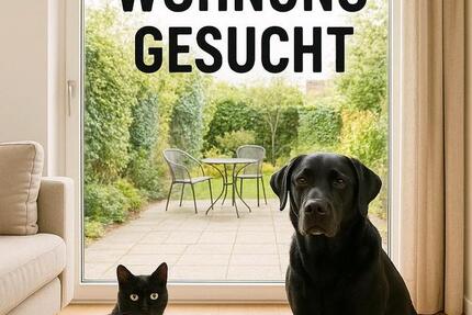 Dringend eine Mietwohnung zimmer