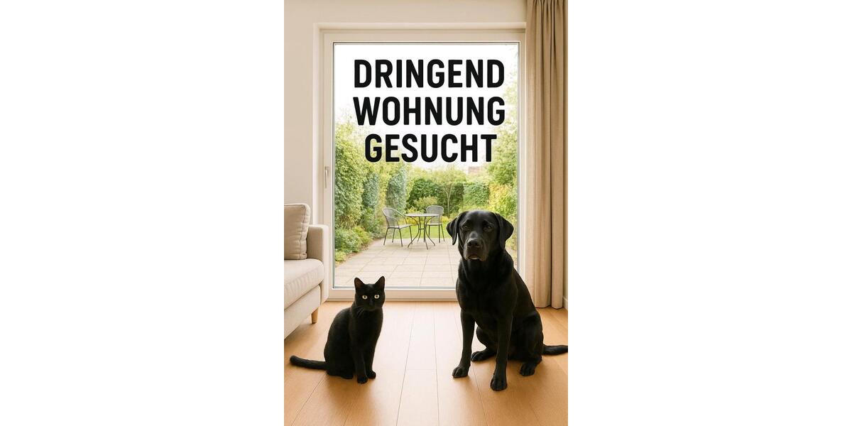 Dringend eine Mietwohnung zimmer