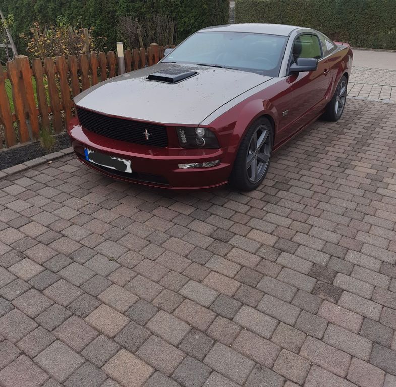 Mustang