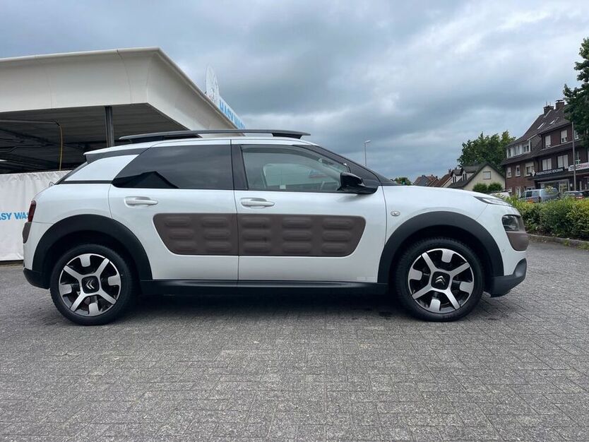 C4 Cactus
