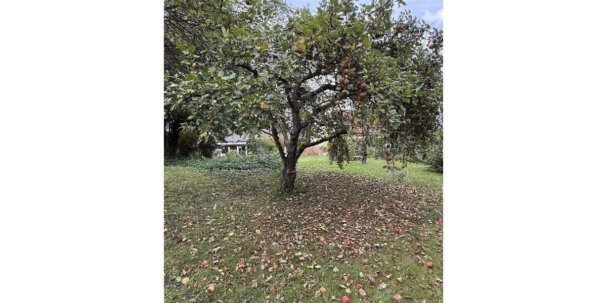 Einfamilienhaus Montabaur Eschelbach - 7 Zimmer, 215 m&sup2;, 550.000&euro; | Angebot:24597318