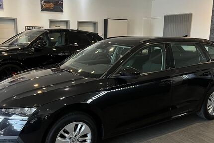 Skoda Octavia 166.406 km 16.795 € Volkmarsen 34471