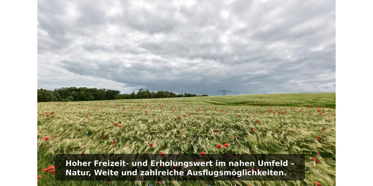 Erdgeschoßwohnung Joachimsthal - 2 Zimmer, 47 m&sup2;, 509&euro; | Angebot:25973989