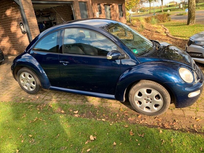 Beetle