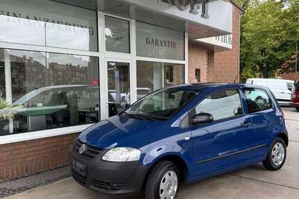 VW Fox
