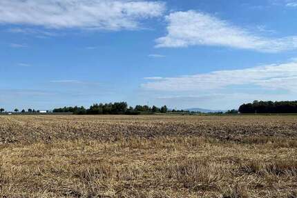 Sonstige Wallersdorf - 350.000&euro; | Angebot:25341157