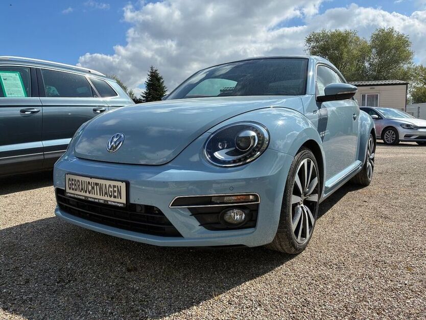 Beetle