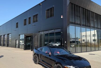 Ford Mustang 53.400 km 36.900 &euro; Bad Waldsee 88339