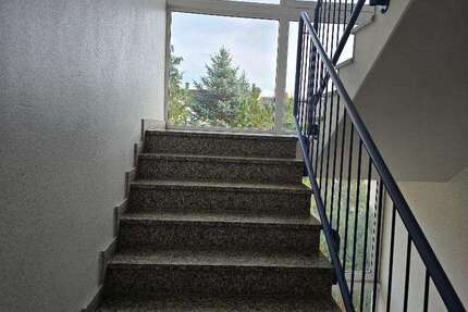 Wohnung zum Mieten in Treuen 376 € 53.75 m² 2 zimmer