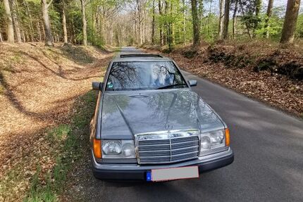 Mercedes 230