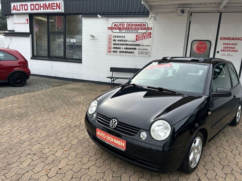 Lupo