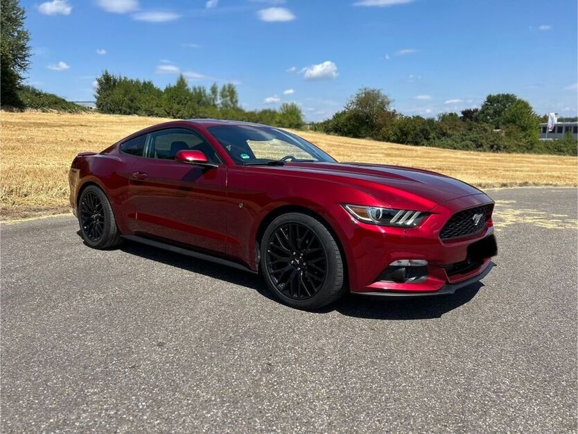 Mustang