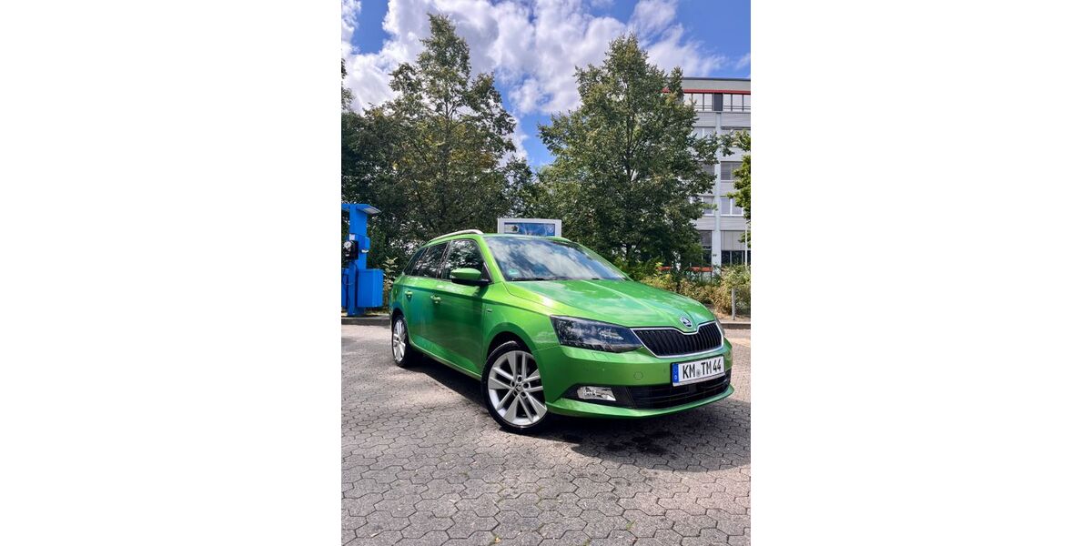 Skoda Fabia 156.000 km 10.000 &euro; Chemnitz 09111