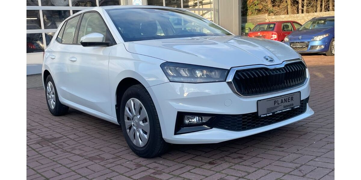 Skoda Fabia 29.402 km 14.500 &euro; Apolda 99510