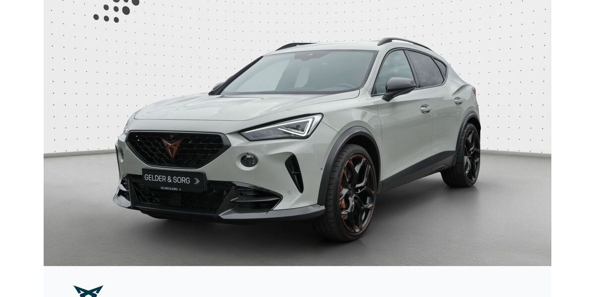 Cupra Formentor 13.500 km 44.990 &euro; Lichtenfels 96215