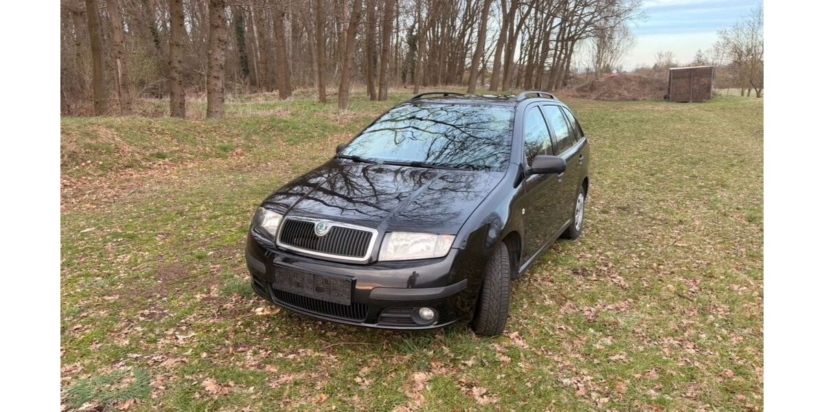 Skoda Fabia 162.466 km 1.899 &euro; Neubrück 38176