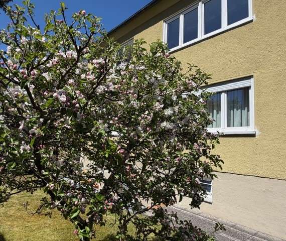 Einfamilienhaus Dachau - 6.5 Zimmer, 176 m&sup2;, 1.075.000&euro; | Angebot:26593179