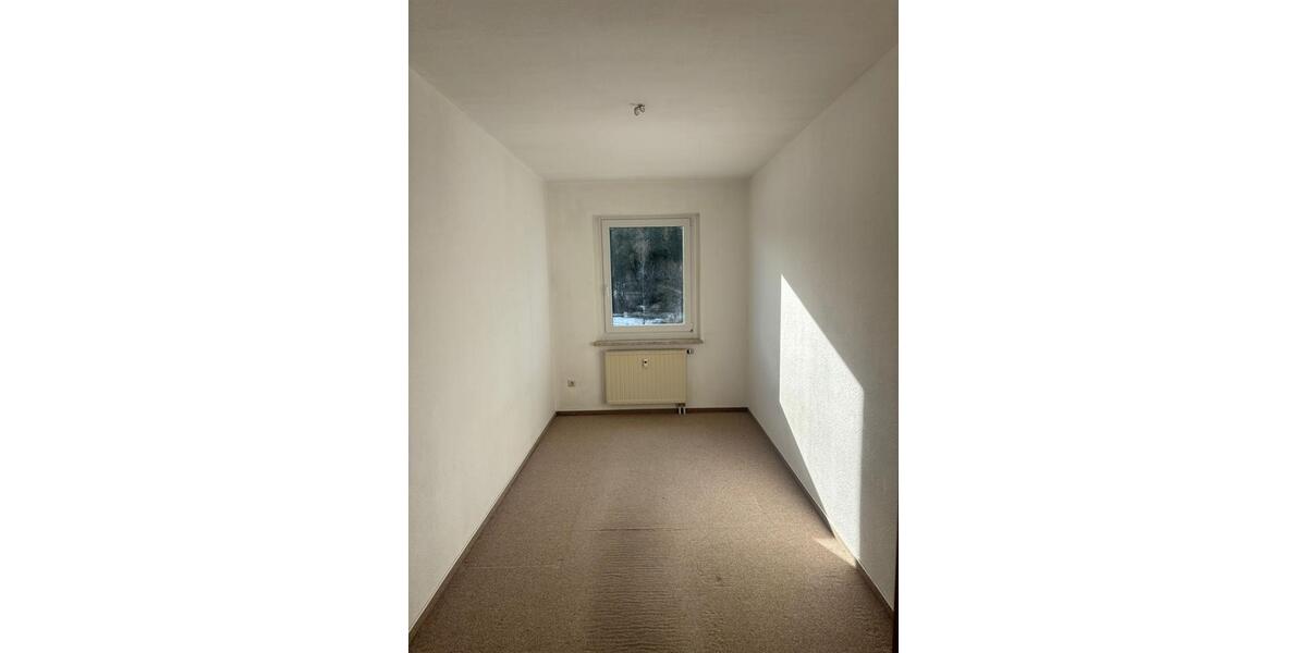 Etagenwohnung Wurzbach - 4 Zimmer, 72 m&sup2;, 430&euro; | Angebot:24573907