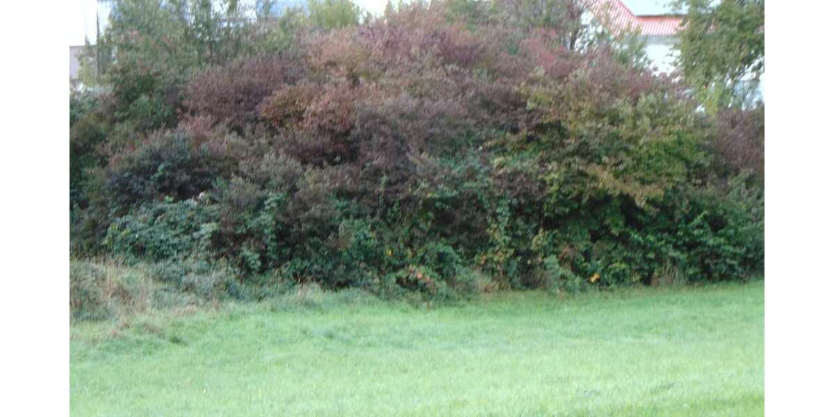 Grundstück zu verkaufen in Königsbach-Stein 164.000 € 315 m² zimmer