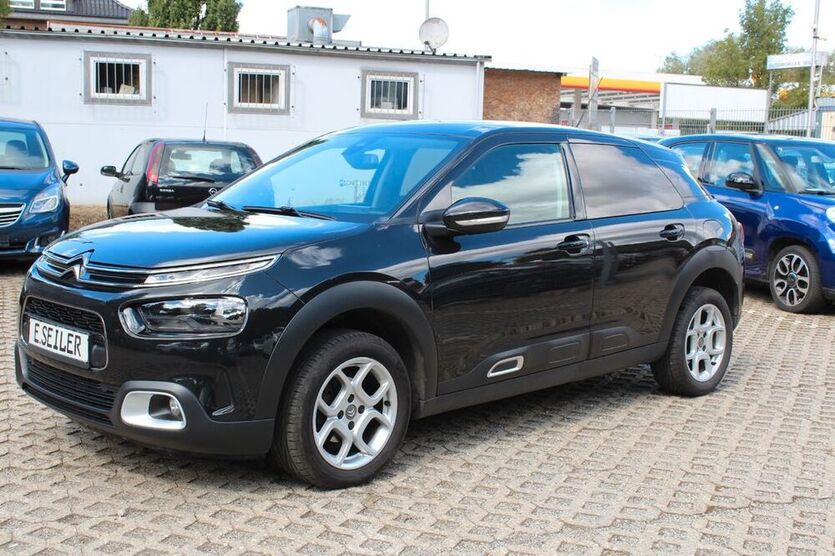 C4 Cactus