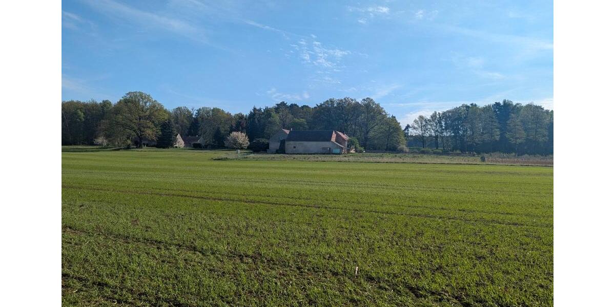 Bauernhaus, Landhaus Niesky - 6 Zimmer, 122 m&sup2;, 99.000&euro; | Angebot:26490992