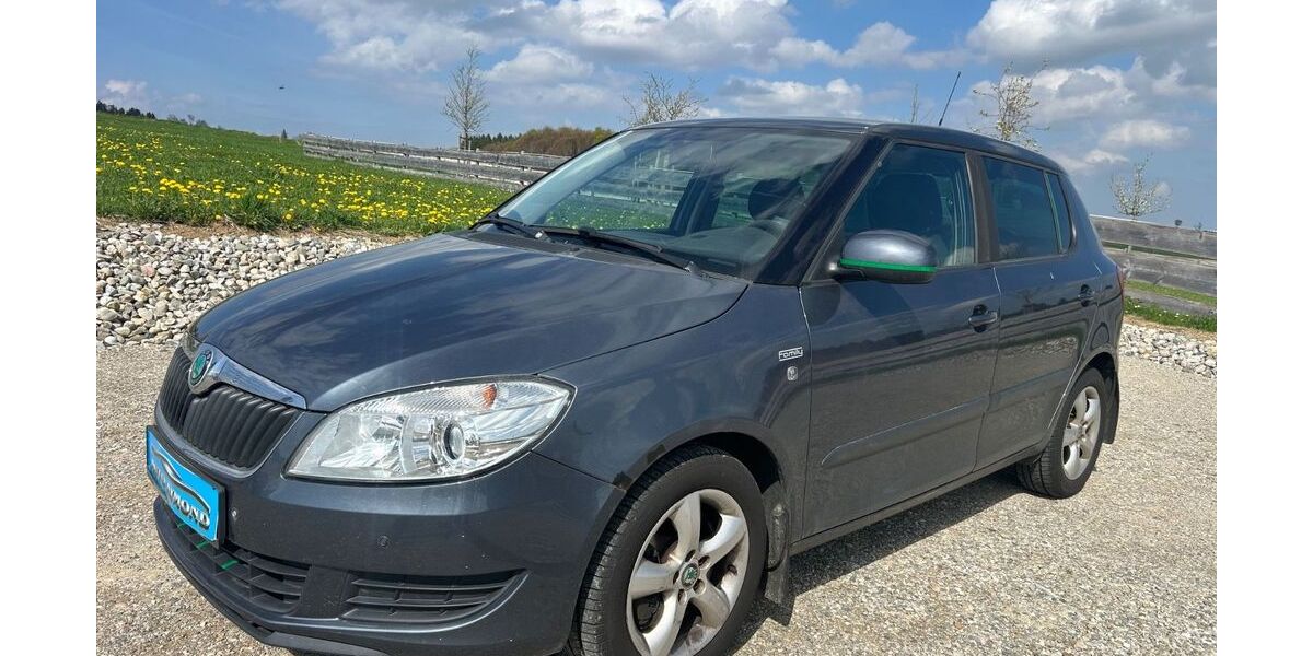 Skoda Fabia 171.318 km 3.000 &euro; Pittenhart 83132