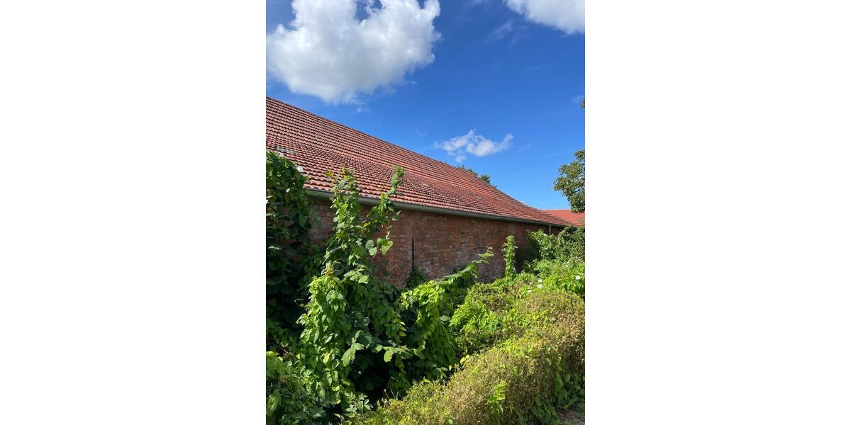 Mehrfamilienhaus, Wohnhaus Hage - 10 Zimmer, 250 m&sup2;, 600&euro; | Angebot:26072903