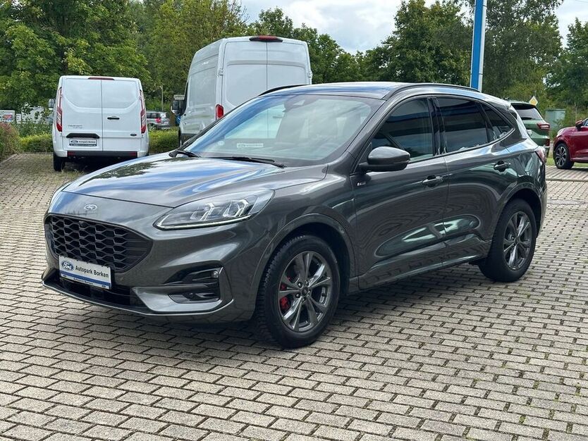 Kuga