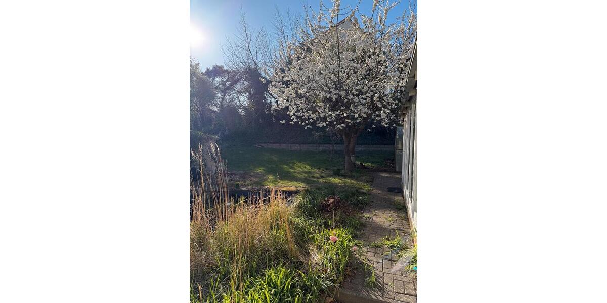 Mehrfamilienhaus, Wohnhaus Bad Sülze - 7 Zimmer, 280 m&sup2;, 240.000&euro; | Angebot:27432893