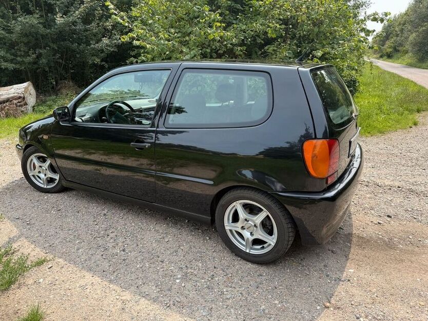 Polo