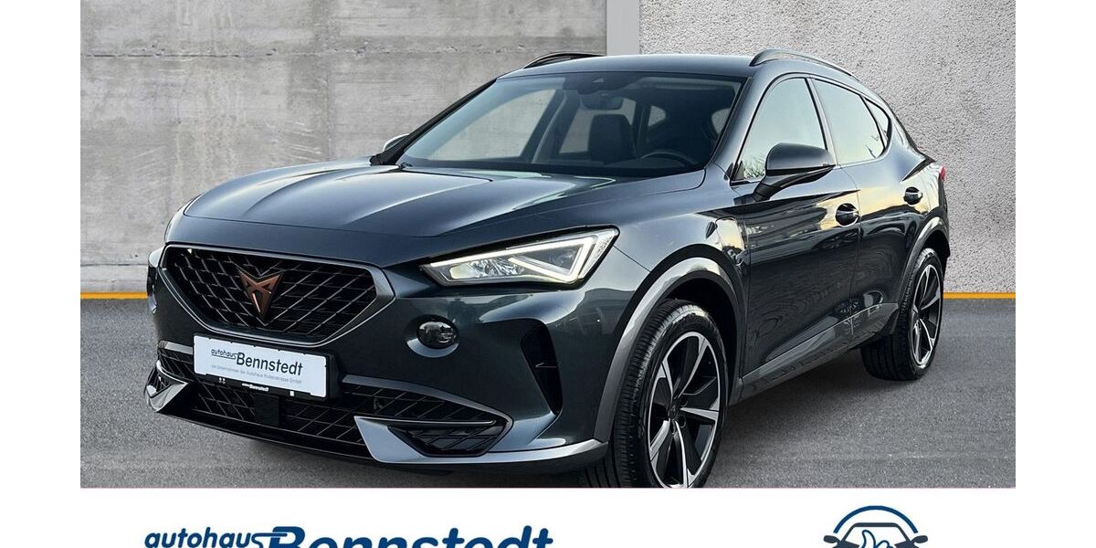 Cupra Formentor 58.182 km 22.240 &euro; Salzatal OT Bennstedt 06198