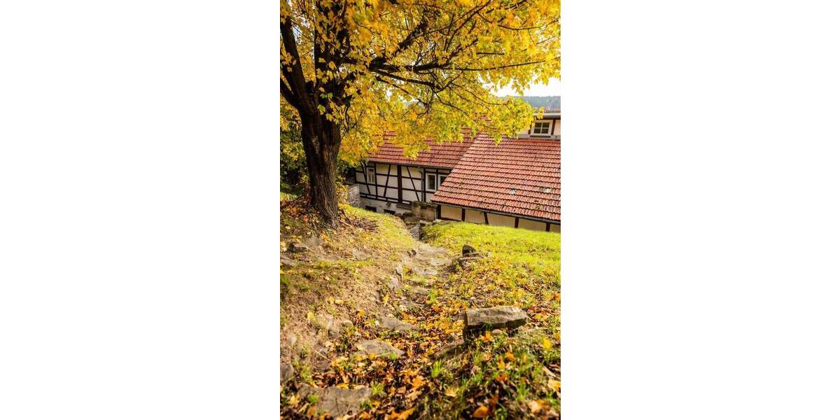 Rückzugsort und Wohlfühlhof 1 zimmer