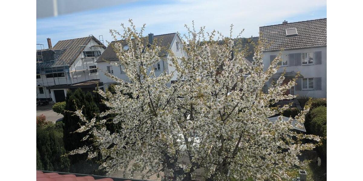 Doppelhaushälfte Schönaich - 6.5 Zimmer, 152 m&sup2;, 619.000&euro; | Angebot:24835299