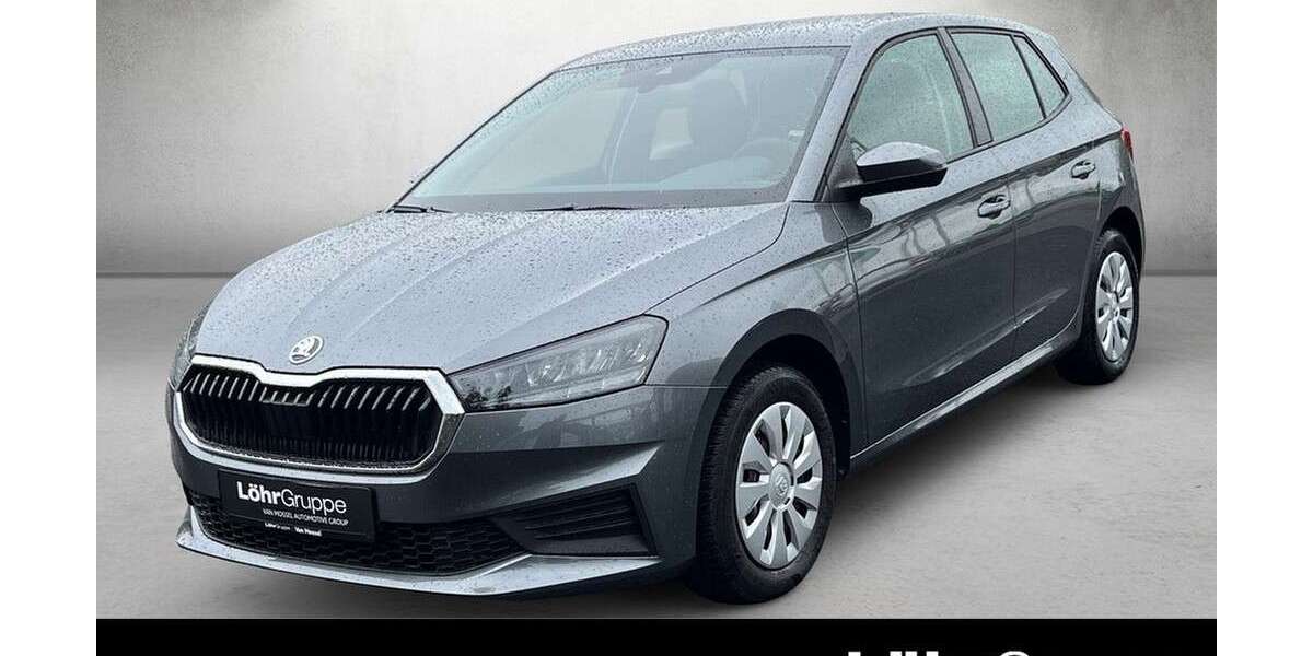Skoda Fabia 19.488 km 12.480 &euro; Mainz 55120