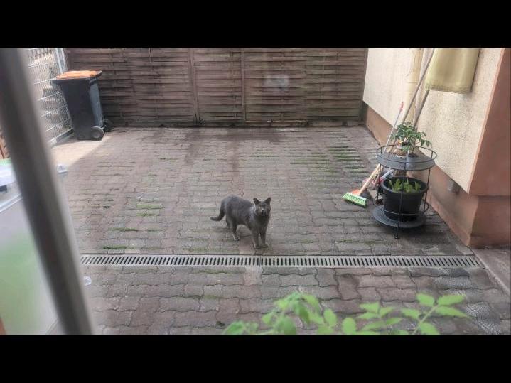 Erdgeschoßwohnung Nümbrecht - 3.5 Zimmer, 90 m&sup2;, 850&euro; | Angebot:25363532