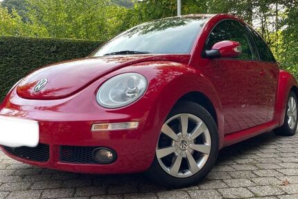 VW Beetle