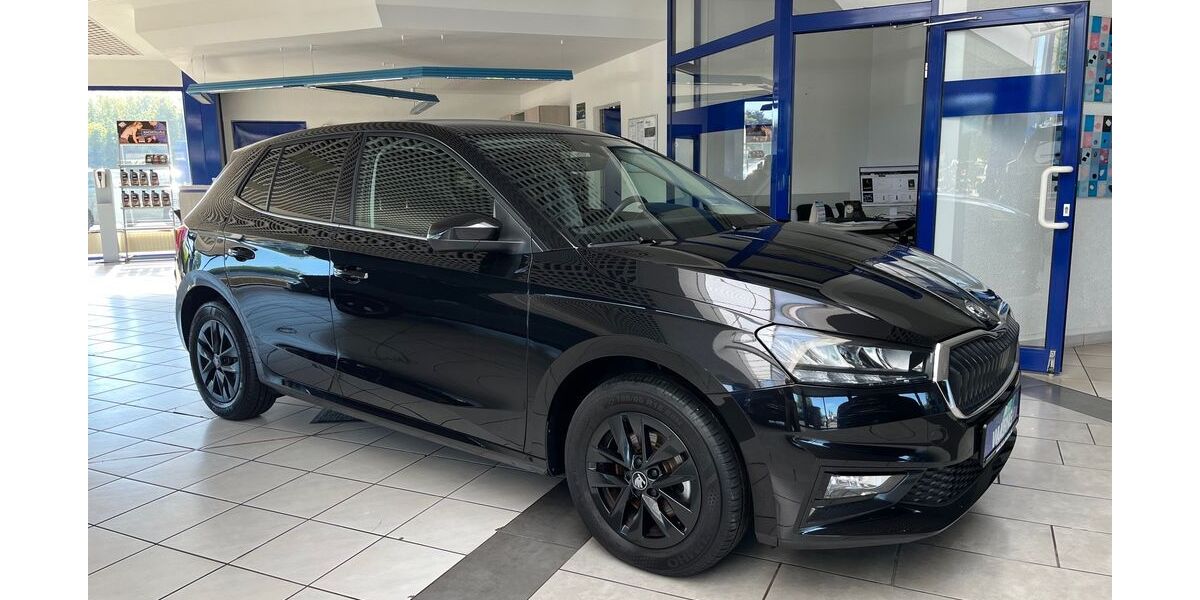 Skoda Fabia 23.522 km 19.890 &euro; Bergen 18528