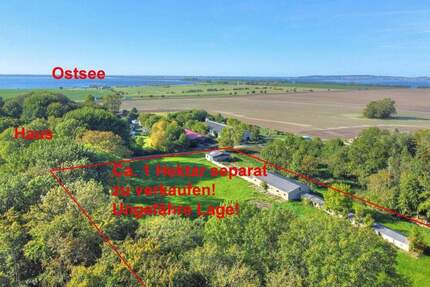 Haus Schaprode Poggenhof - 8 Zimmer, 178 m&sup2;, 475.000&euro; | Angebot:25708599