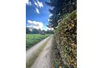 Bungalow Dresden Loschwitz - 3 Zimmer, 60 m&sup2;, 190.000&euro; | Angebot:25961758