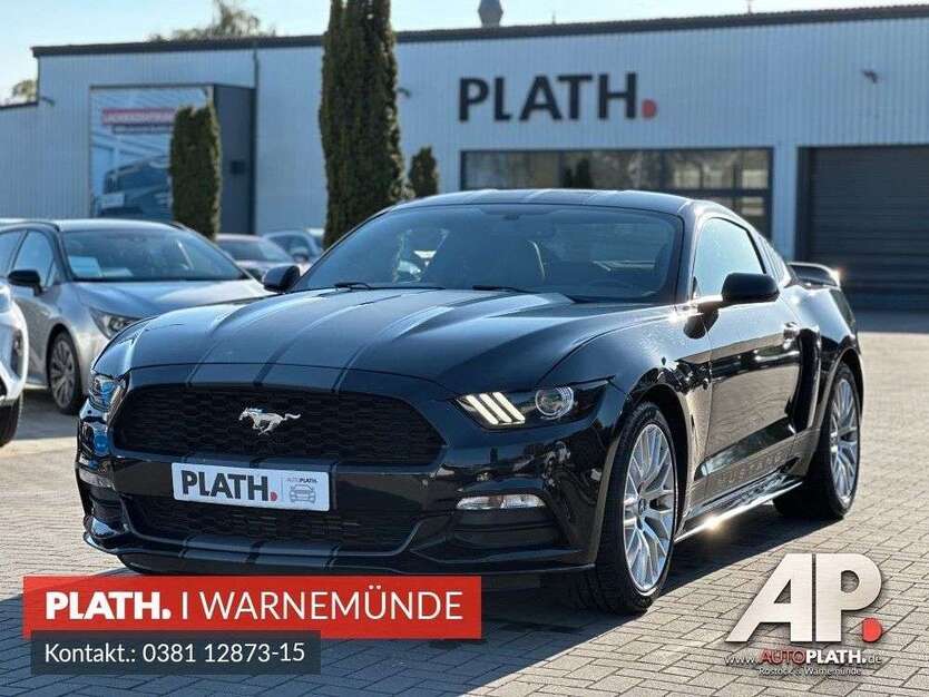 Mustang