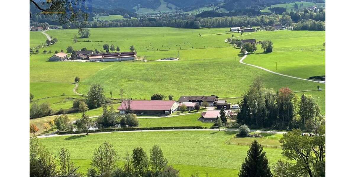 Einfamilienhaus Isny im Allgäu - 18 Zimmer, 540 m&sup2;, 3.190.000&euro; | Angebot:24592762
