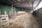 Bauernhaus, Landhaus Pellworm - 7 Zimmer, 172 m&sup2;, 349.000&euro; | Angebot:25672660