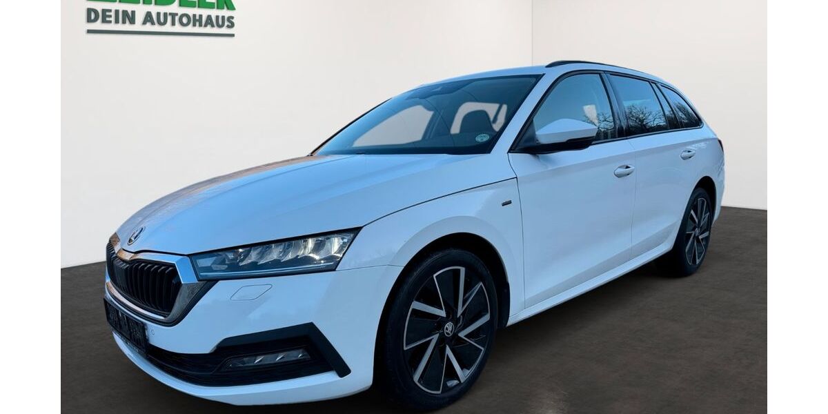 Skoda Octavia 99.100 km 20.450 &euro; Mylau 08499