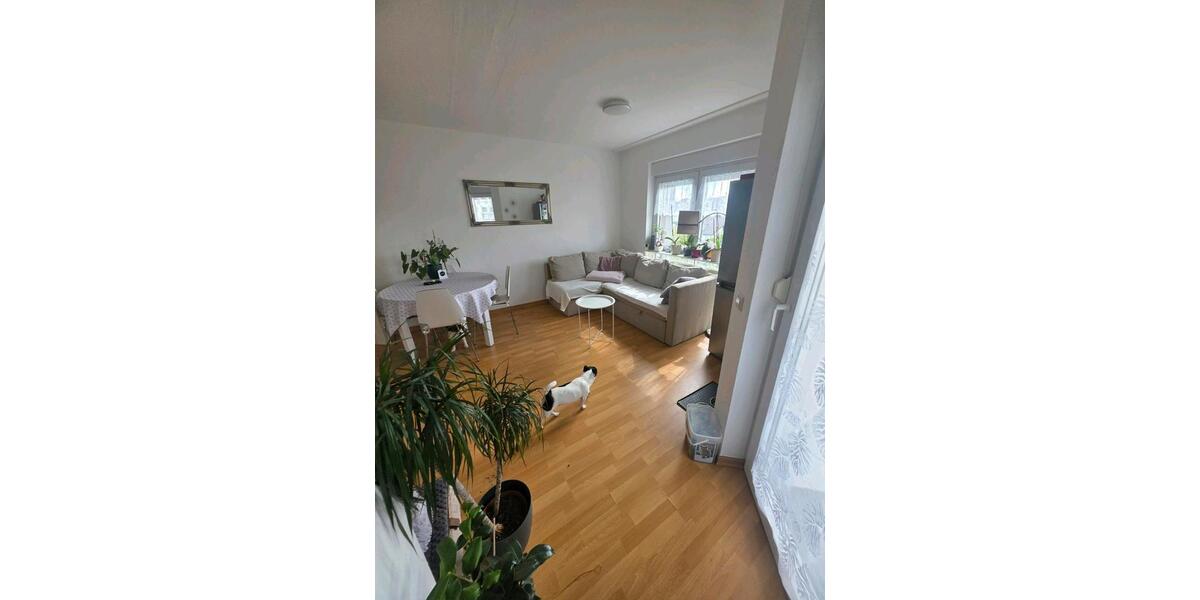 Etagenwohnung Eisenberg (Pfalz) - 2 Zimmer, 50 m&sup2;, 550&euro; | Angebot:26644757