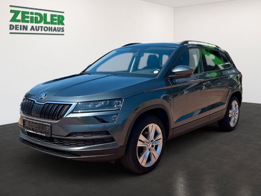 Skoda Karoq 69.270 km 19.950 € Mylau 08499