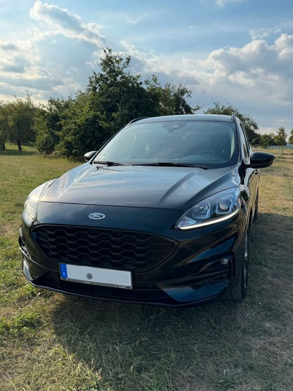Kuga
