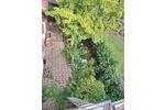 Einfamilienhaus Edenkoben - 7 Zimmer, 178 m&sup2;, 260.000&euro; | Angebot:27093866