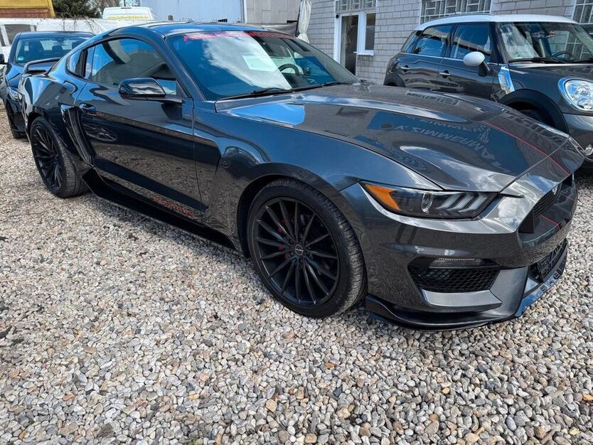 Mustang