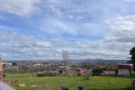 1-Zimmer-Wohnung in Bornheim-Roisdorf zu vermieten 1 zimmer